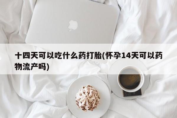 米非米索在线购买微信十四天可以吃什么药打胎(怀孕14天可以药物流产吗)